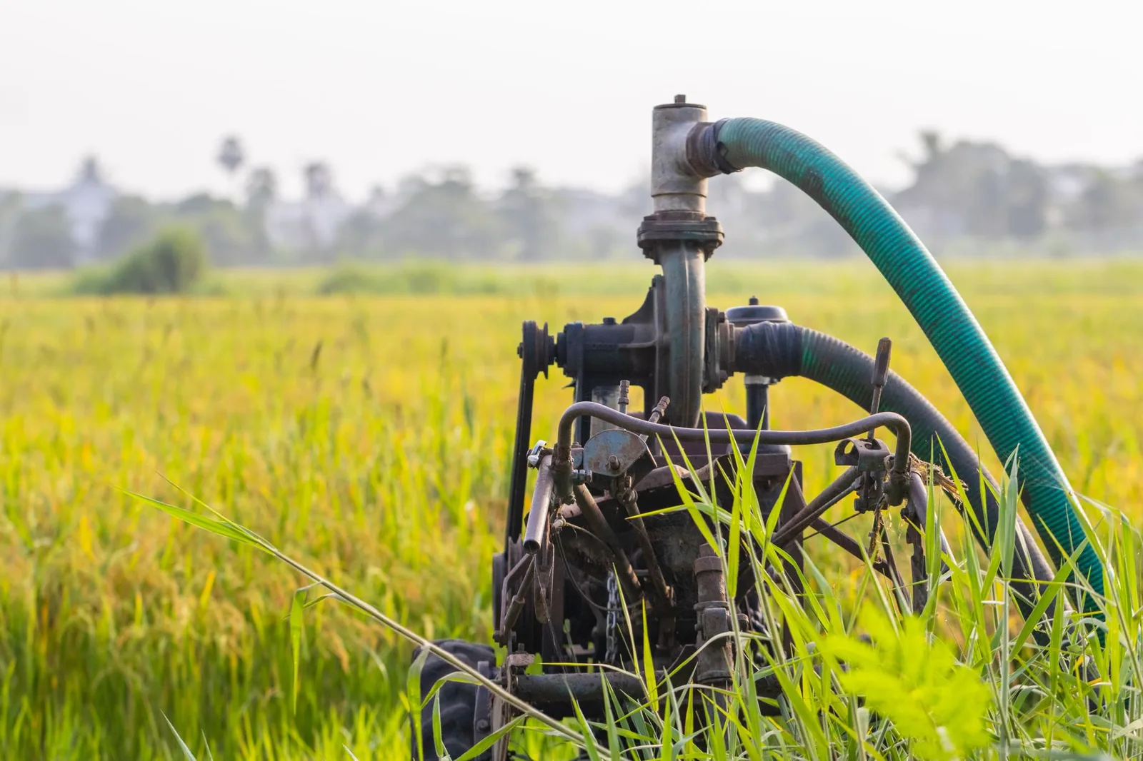 How Often To Pump a Septic Tank in Baltimore, MD